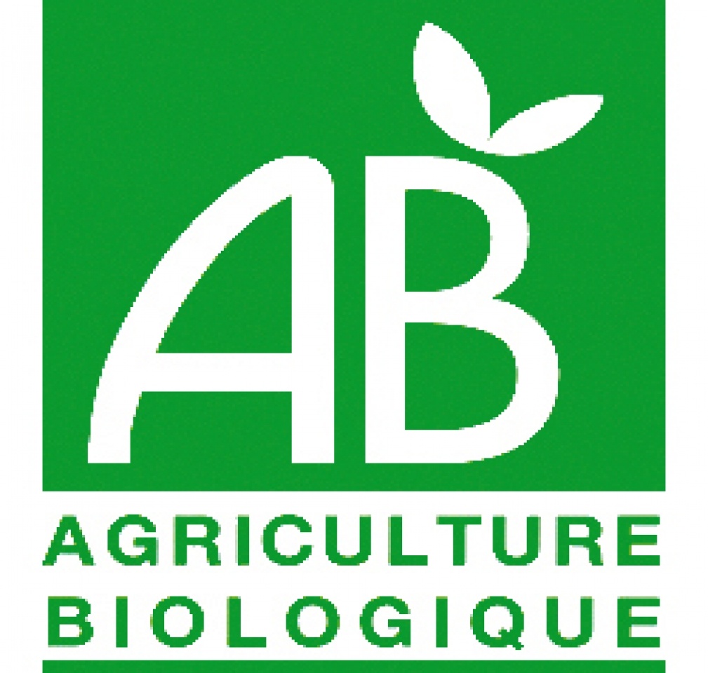 AB Logo