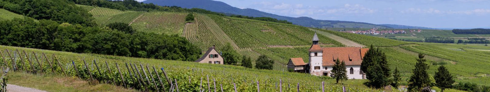 Alsace Grand Cru Frankstein