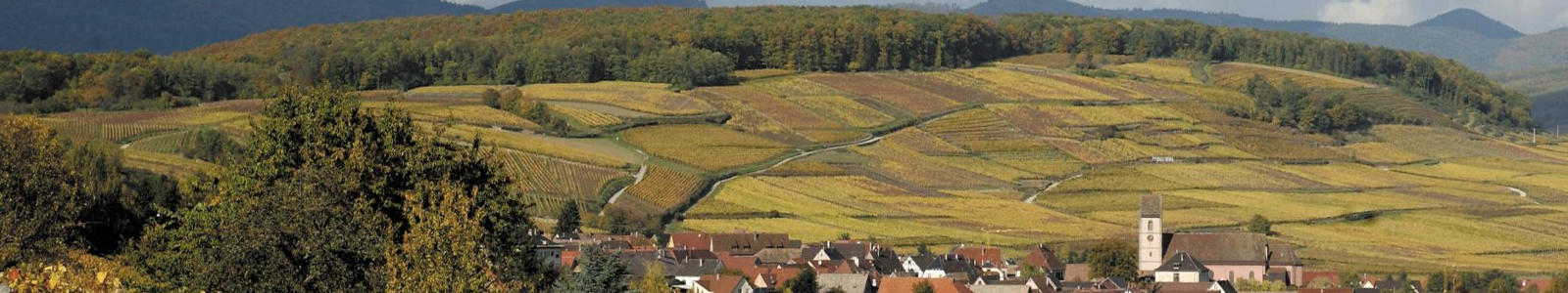 Alsace Grand Cru Pfingstberg